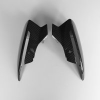 Exklusives Carbon Paket für Seat Leon / Cupra R ST